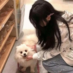 救救大哥游戏下载